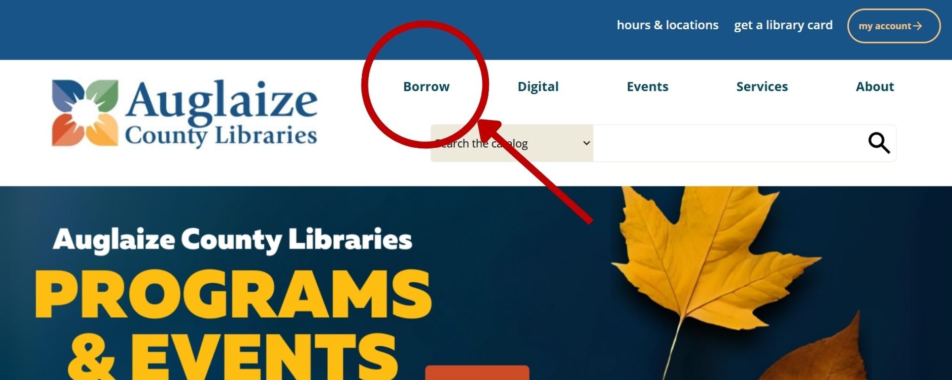 Website homepage screenshot with the Borrow tab circled